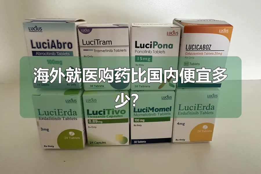 海外就医购药比国内便宜多少?